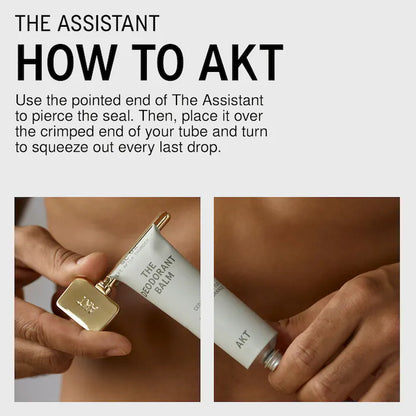 The Assistant